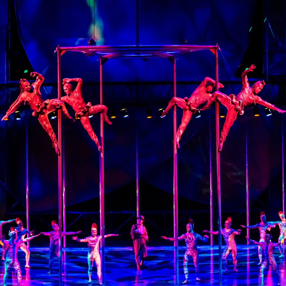 Mystère by Cirque du Soleil
