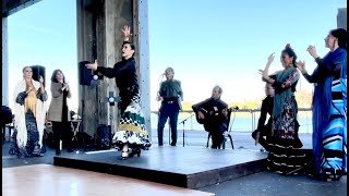 Mizuho Sato Flamenco