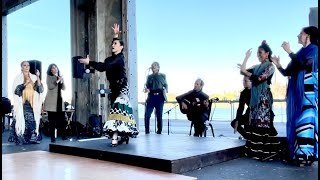 Mizuho Sato Flamenco